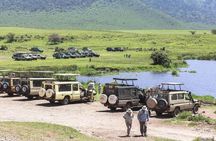 Ngorongoro Day Trip Joining group tour from Arusha