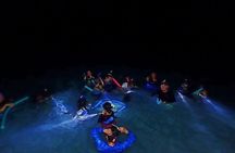 Roatan Night Snorkel Adventure