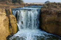 Guided tour to Valley Of The Whales From Cairo