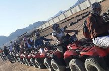 Safari 5 in 1 Quads Camels Star Gazing in Sharm El Sheikh