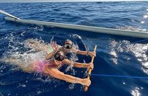 Dolphin Watching Tour, Swimming with Dolphins and Snorkeling 
