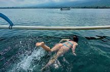 Dolphin Watching Tour, Swimming with Dolphins and Snorkeling 