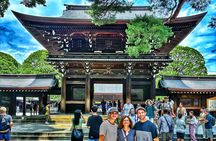 Private Walking Tour in Tokyo - Perfect for First-Time Visitors