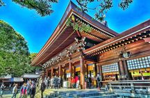Private Walking Tour in Tokyo - Perfect for First-Time Visitors