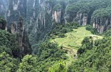 Yuanjiajie Avatar and Tianzi Mountain and Rice Field Village Tour
