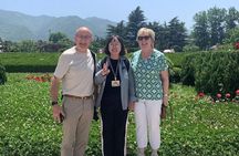 Terra cotta Army One Day Private Trip