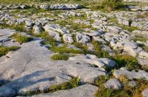 Cliffs of Moher, Burren and Galway 2 Days Private Chauffeur Tour