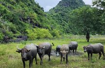 Ninh Binh Full Day Tour from Hanoi to Hoa Lu, Trang An & Mua Cave