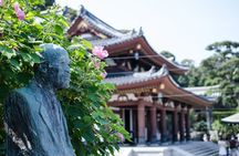 From Tokyo Kamakura and Enoshima Private Day Tour