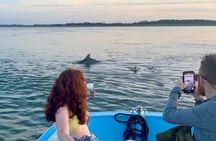 Morris Island Dolphin Cruise and Shelling Trip