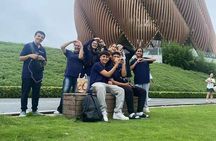 Private All-Inclusive Half-Day Tour to Chengdu Panda Base