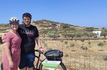 Electric Bike Tour Around the Upper Valley