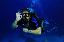 Join our Daily Diving Trip with 2 dives Transfer & Lunch-Hurghada