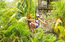 Roatan's ORIGINAL Zip-n-Dip: Zipline, Sloths & West Bay Beach