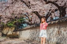Gyeongju Small Group photo Tour (Max 6 Pax)