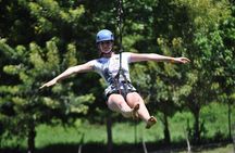 Roatan's ORIGINAL Zip-n-Dip: Zipline, Sloths & West Bay Beach