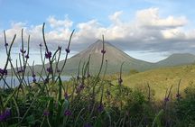 Peak Pursuit: Embark on the Arenal Volcano Hike Expedition