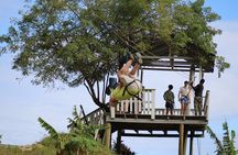 Super Man Zip Line & Wildlife Combo Tour