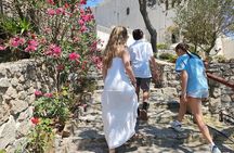 Santorini: Private Sightseeing Tour with Local Guide