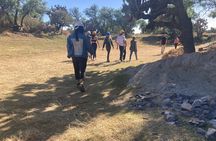 Teotihuacán VIP Tour