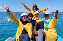One Day Tour Pink Beach East Lombok Excursion