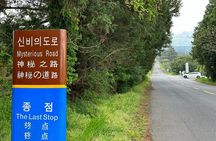 Small Group Tour in South Jeju Healing Island w/Hotel Pick-up