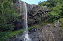 7 Cascades Half-day Hike Tamarind Falls 