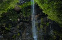 7 Cascades Half-day Hike Tamarind Falls 