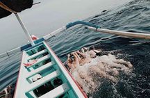 Lovina Dolphin watching and swimming with Dolphin
