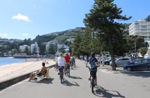 Easy Rider Two-Hour Wellington eBike Tour