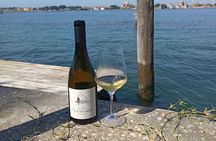 Wine Tasting with the winemaker in Villa Santa Eurosia