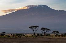 6 Days Private Tour of Masai Mara Lake Nakuru and Amboseli Safari