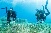 Research diving with a Marine Biologist in Crete