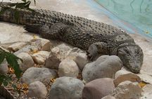 Hurghada Grand Aquarium with Transfer