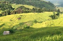 2-Day Motorbike Tour to Mu Cang Chai Loop from Sapa