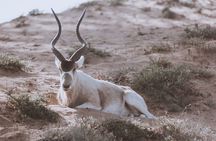 Private Tour to Souss Massa National Park