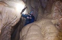 Los Tayos Cave + Mysterious Caverns + Light Wells One Day