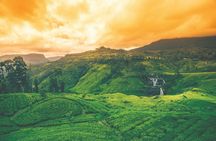 8 Day Private Car and Dedicated Driver Service in Sri Lanka