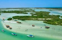 Isla Columpios and Progreso Day Trip
