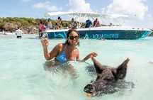 Exuma Powerboat Tour from Nassau with Swimming Pigs