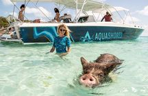 Exuma Powerboat Tour from Nassau with Swimming Pigs