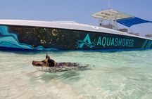  Bahamas Adventure: Pigs, Reef, Turtles, and Beach with Lunch