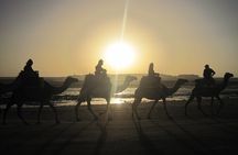 1 Hour Dromedary Ride near Essaouira, Morocco