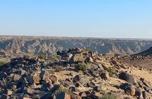 Welwitschia Exclusive Tour in the Moonlandscape, Swakopmund