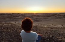 Welwitschia Exclusive Tour in the Moonlandscape, Swakopmund