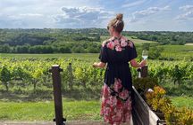 Sremski Karlovci Tour A Journey Through Vineyards and Winery 