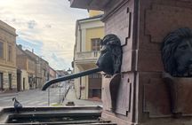 Sremski Karlovci Tour A Journey Through Vineyards and Winery 