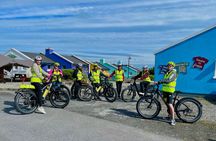 Taste of Connemara Tour by Electric Fat Tyre Bike 