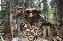 Ridden- Breckenridge Fat Bike Guided Bike Tour
