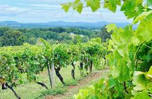 Private Hunter Valley Wine Tasting Tour from Sydney